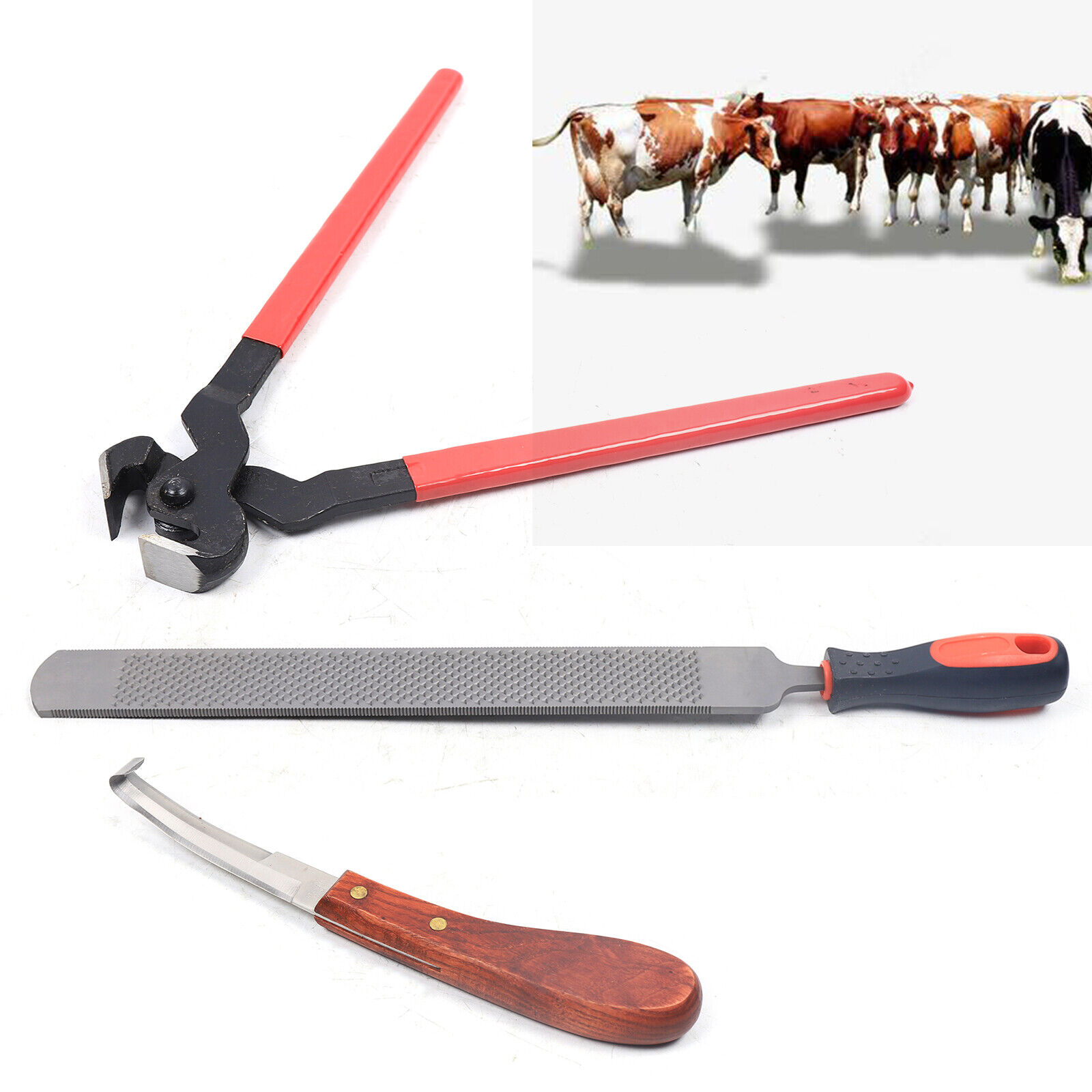 Steel Horse Hoof Trimmer Tool Horseshoe File Rasp Cutter Kit 14 Inches
