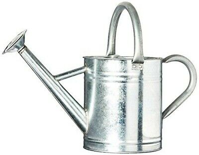 Gardener's Select Gsaw3003p6g6 3.5 L Galvanized Silver Watering Can