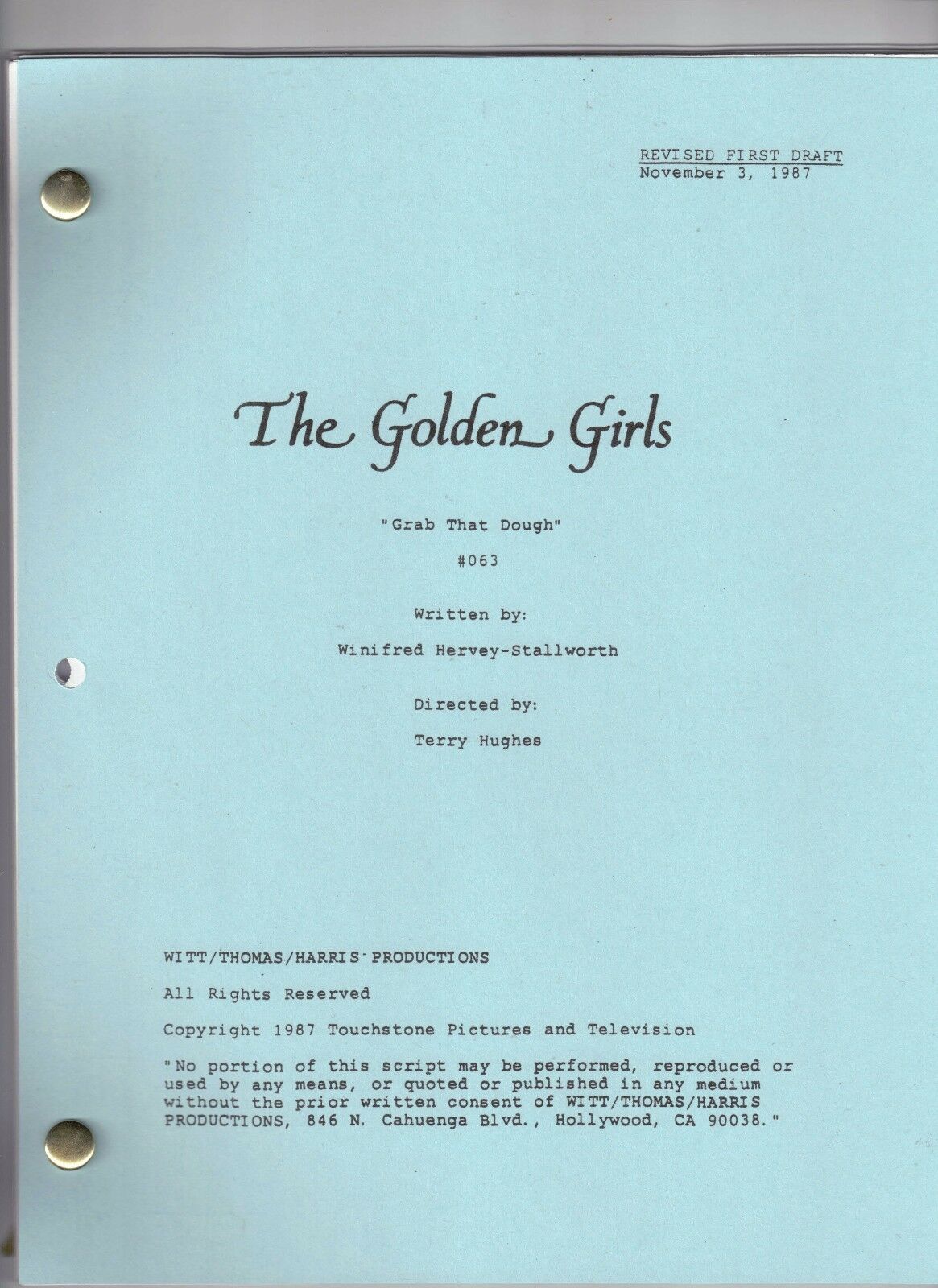 THE GOLDEN GIRLS script 